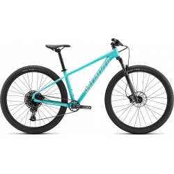 Specialized on sale rockhopper 2