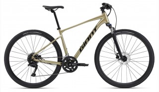 Rower crossowy Giant Roam 2 Disc
