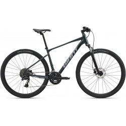 Rower crossowy Giant Roam 2 Disc 2025