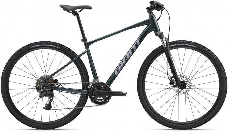 Rower crossowy Giant Roam 2 Disc 2025