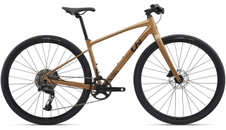 Rower fitness Liv Thrive 1 2026