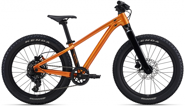 Rower juniorski Giant STP 20